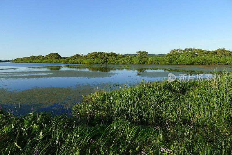 Sarebetsu plain and Panke swamp (Rishiri Rebun Sarobetsu National Park, Japan)